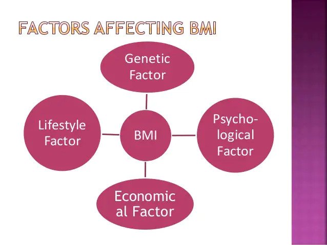 Factors affecting BMI